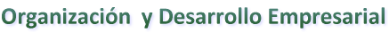 Organizacin  y Desarrollo Empresarial